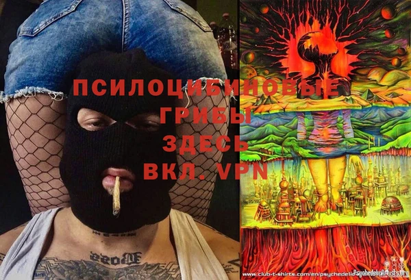 Альфа ПВП Дмитров